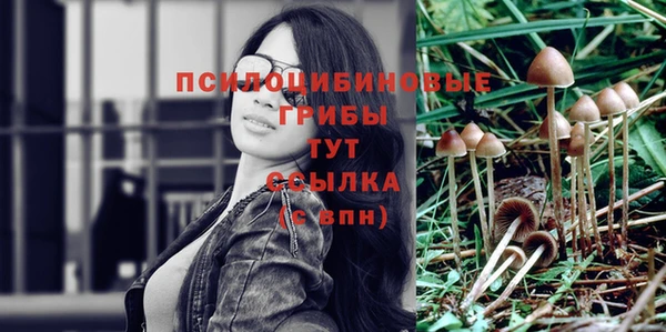 дживик Протвино