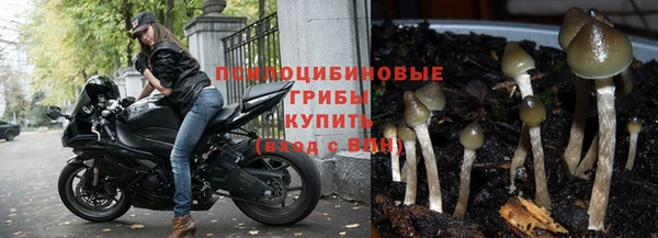 дживик Протвино