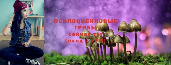 дживик Протвино