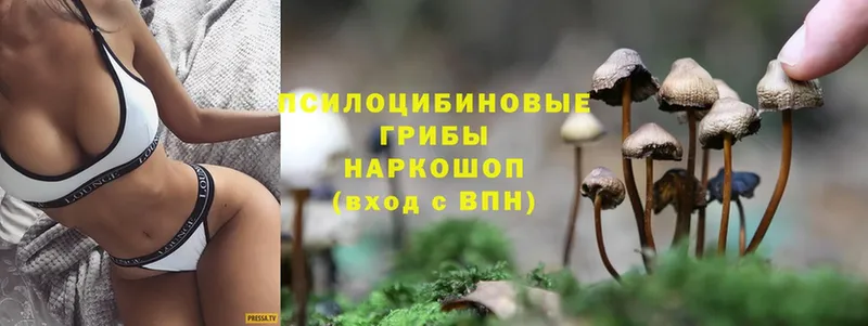 Галлюциногенные грибы Magic Shrooms Александровск-Сахалинский