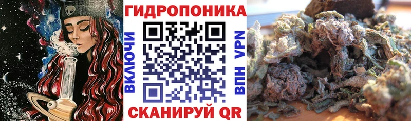 Бошки марихуана конопля  Александровск-Сахалинский 